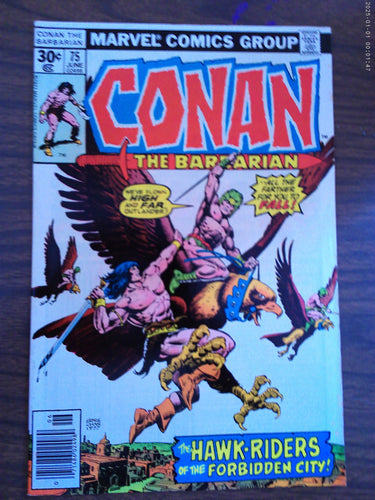 Conan The Barbarian #75 1977