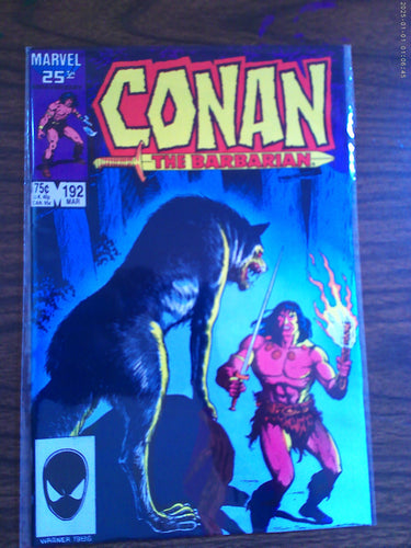 Conan The Barbarian #192 1987