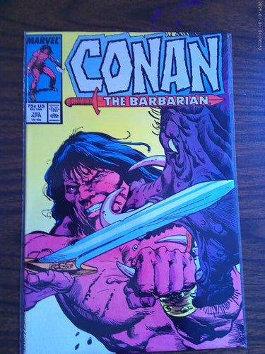 Conan The Barbarian #193 1987