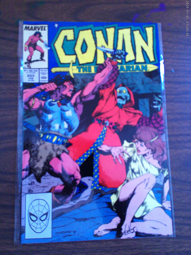 Conan The Barbarian #203 1988