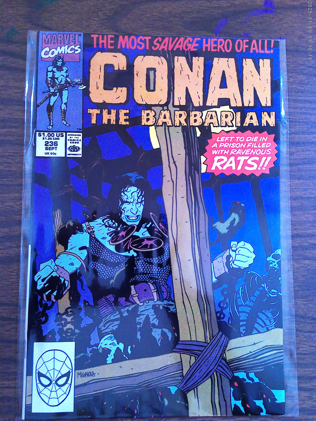 Conan The Barbarian #236 1990