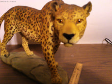 Leopard Statue 17" long X 11" high with base
