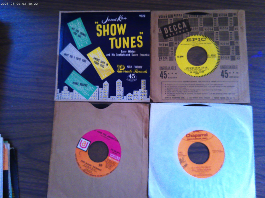 Random Set of 12 various artist 45 Records from the 60s & 70s (See List)