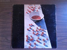 Paul McCartney Self Titled Album