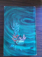 Minnow Vail by Winifred Wise 1963 HC