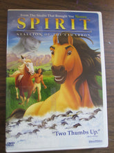 Spirit Stallion of the Cimarron Animated DVD 1994