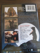 The Bear DVD 2004