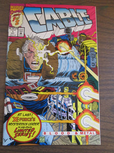 Cable Blood and Metal #1 & 2 1992