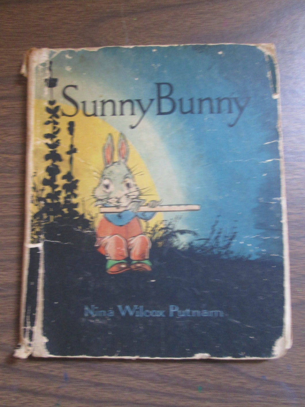 Sunny Bunny by Nina Putnam 1918 HC