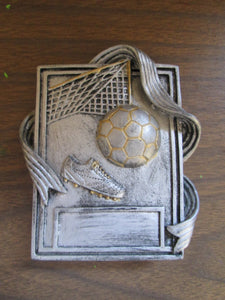 Soccer Ball with Shoe and Net Trophy