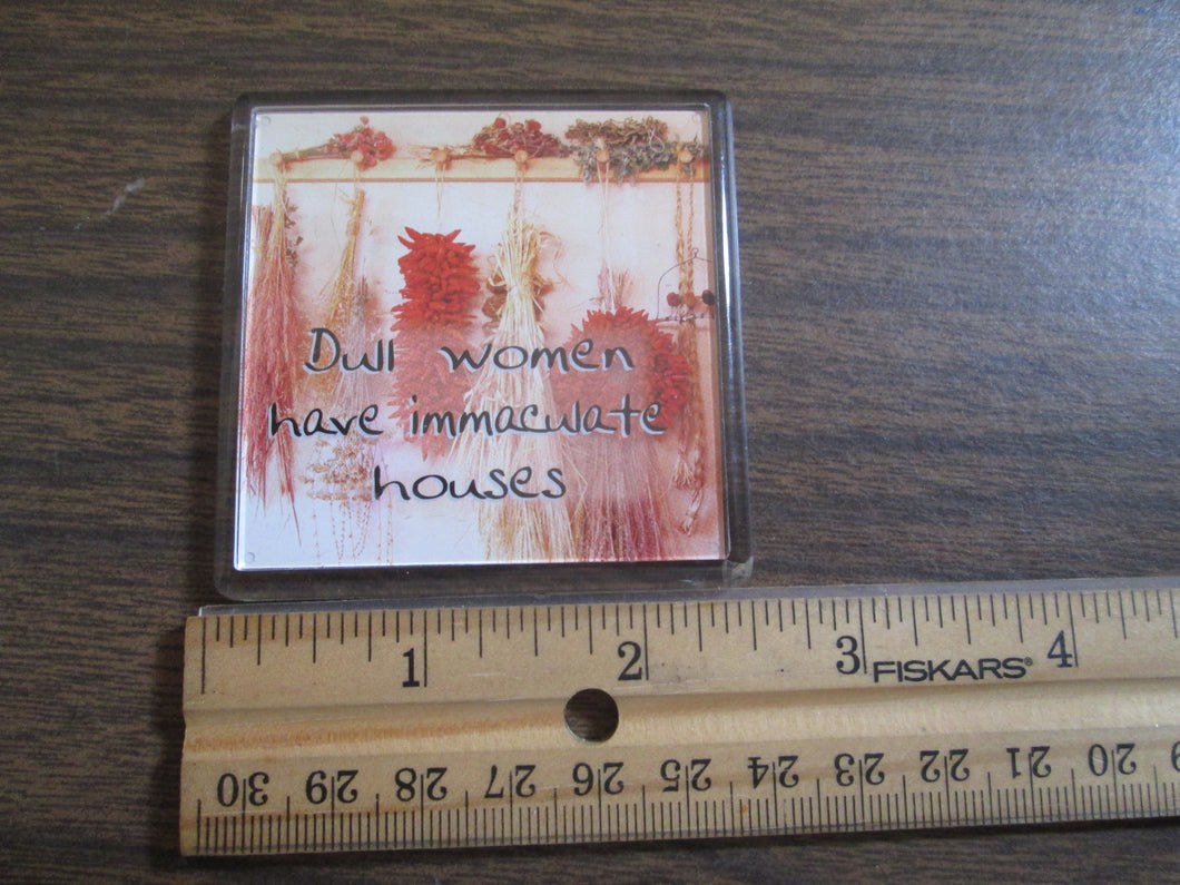 Dull Women Have Immaculate Homes Magnet 1998