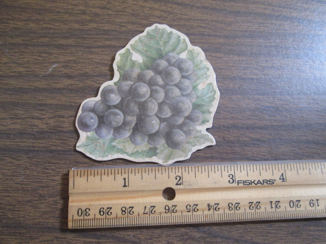 Vintage Fruit Grapes Magnet