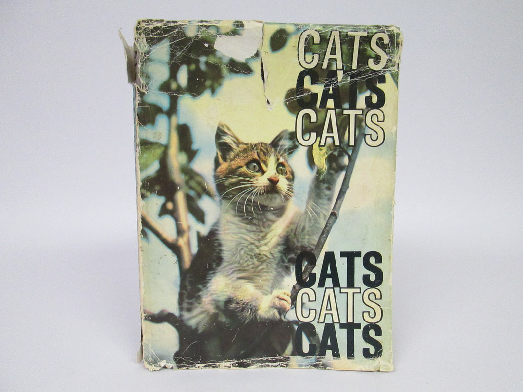 Cats Cats Cats by John R. Gilbert (1962)