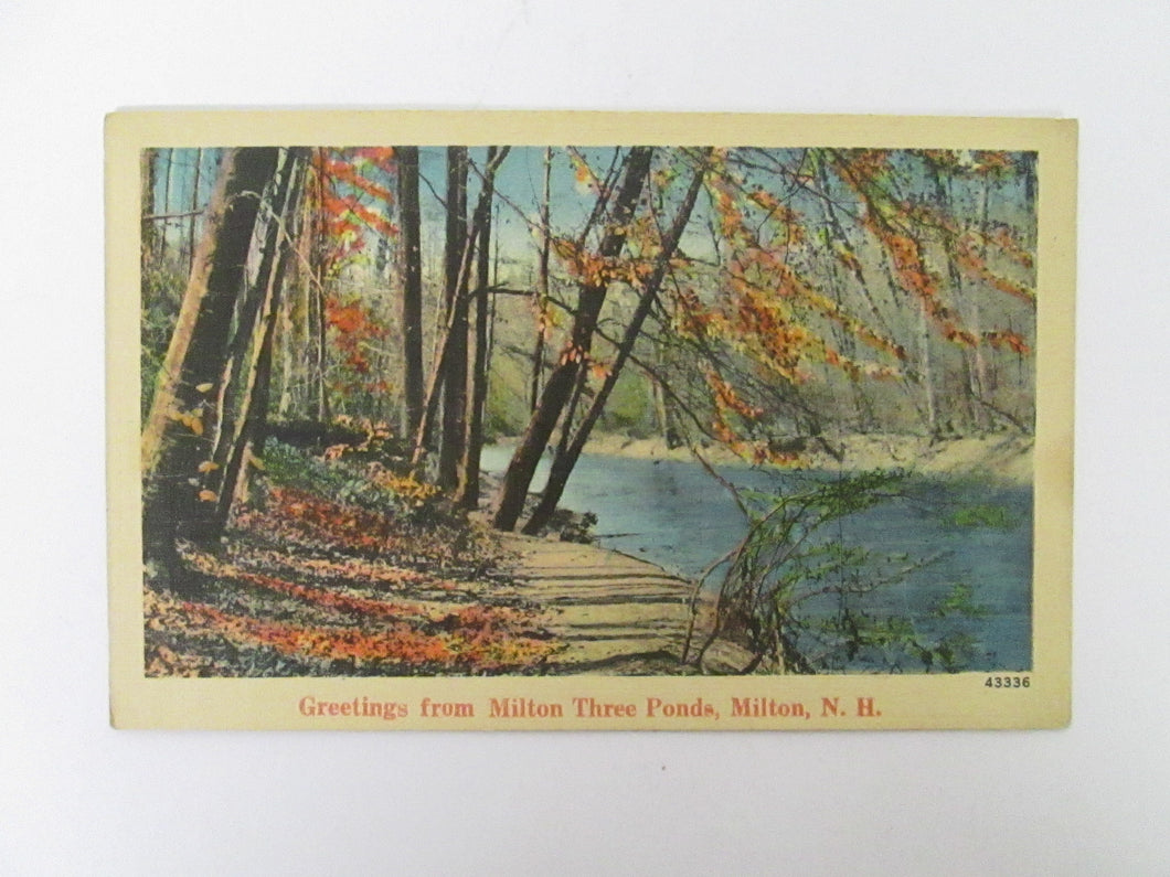 Vintage Post Card Greetings from Milton Three Ponds Milton NH