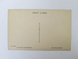 Vintage Post Card Northeast Pond Milton NH