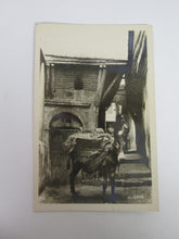 Vintage Post Card AlgerLa Cigogne Donkey