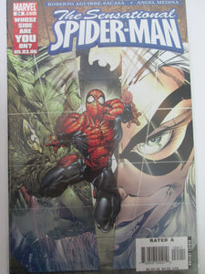 Sensational Spider-Man # 24 (Marvel)