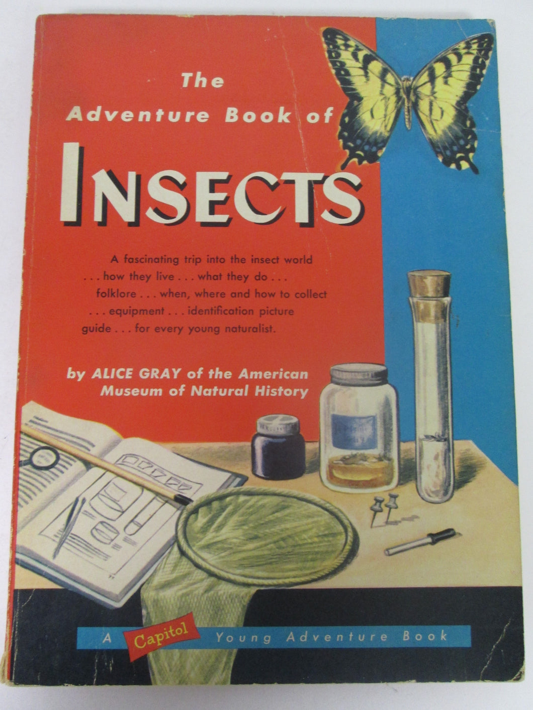 The Adventure Book of Insects by Alice Gary of the American Museum of Natural History PB 1956