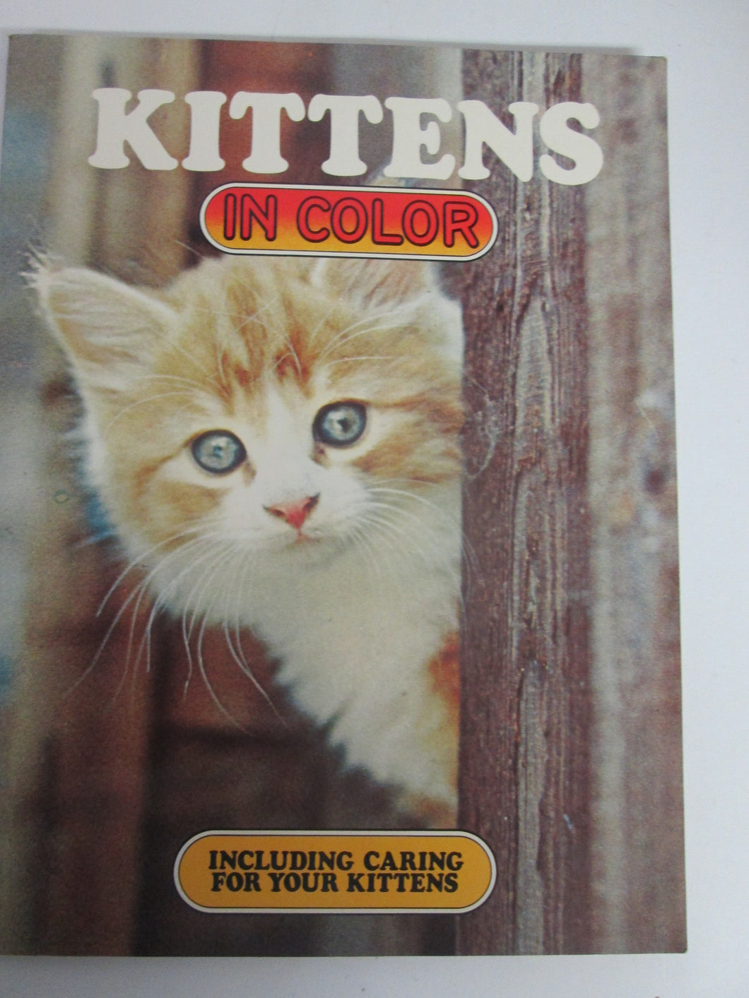 Kittens In Color Including Caring for Your Kittens PB 1979