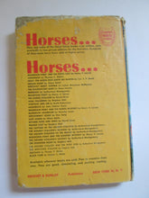 Wild Palomino Stallion of the Prairies by Stephen Holt HC 1946