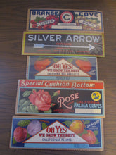Set of 7 Vintage Grocery Vegatable Signs on Cardboard