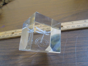 Laser-etched Dragonfly Cube